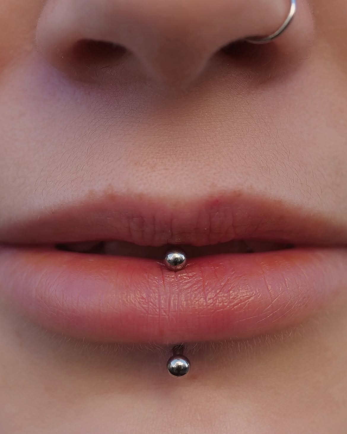 Labret vertical