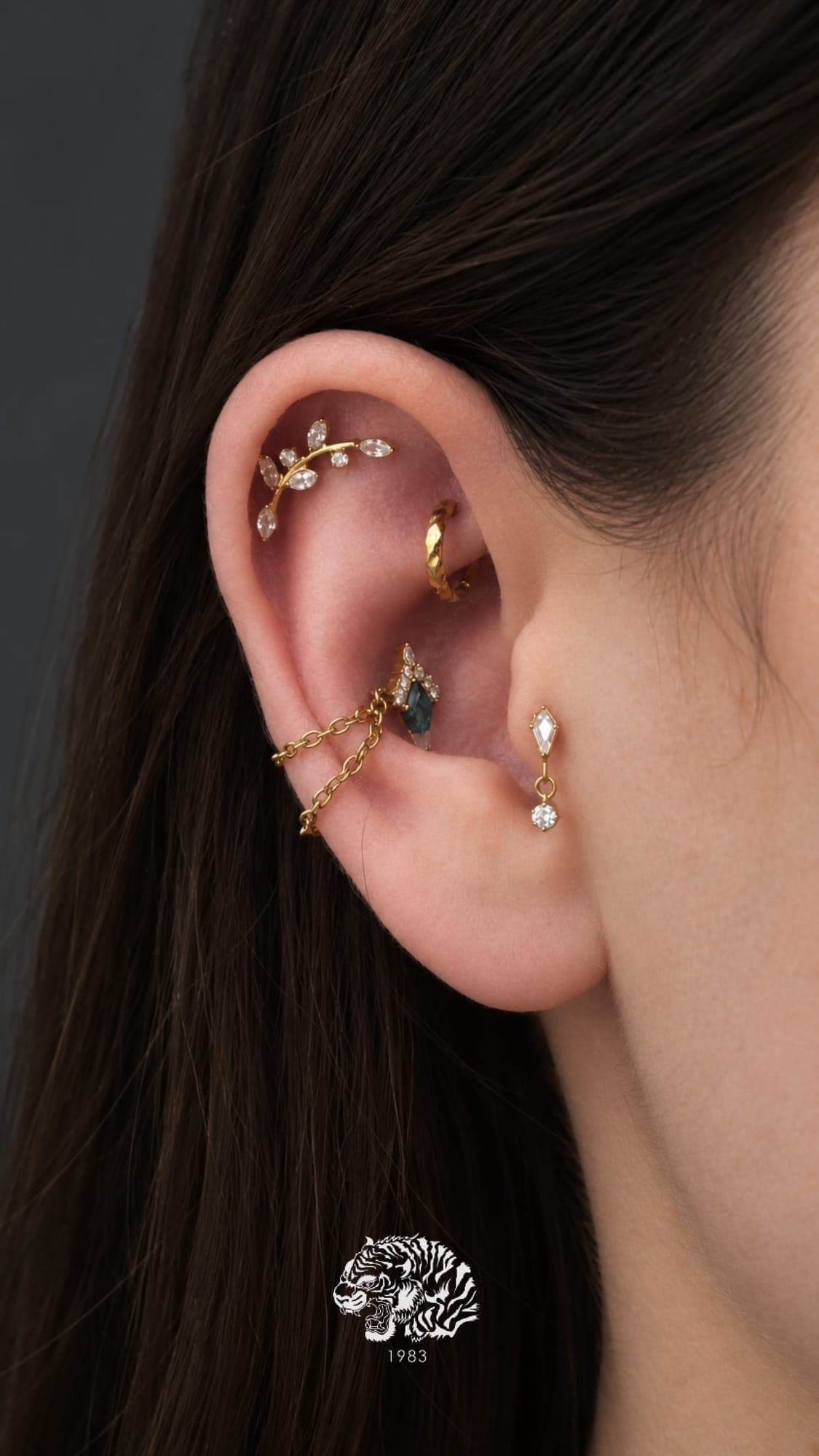 compo' dorée oreille