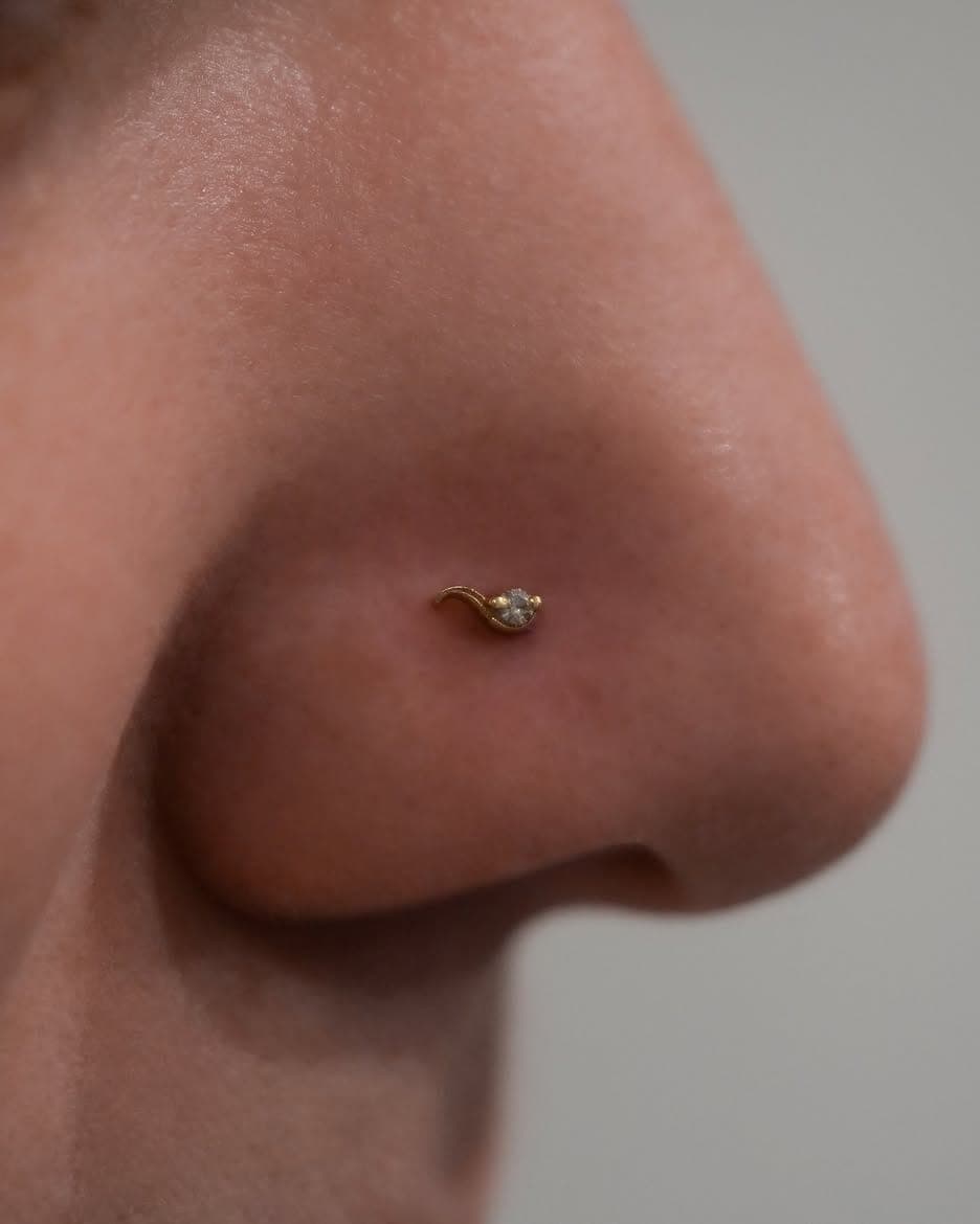 Nostril