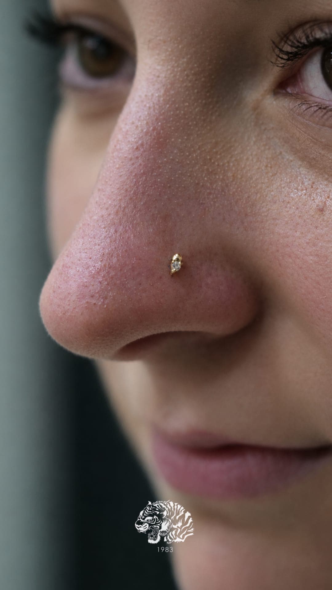 Piercing nez or