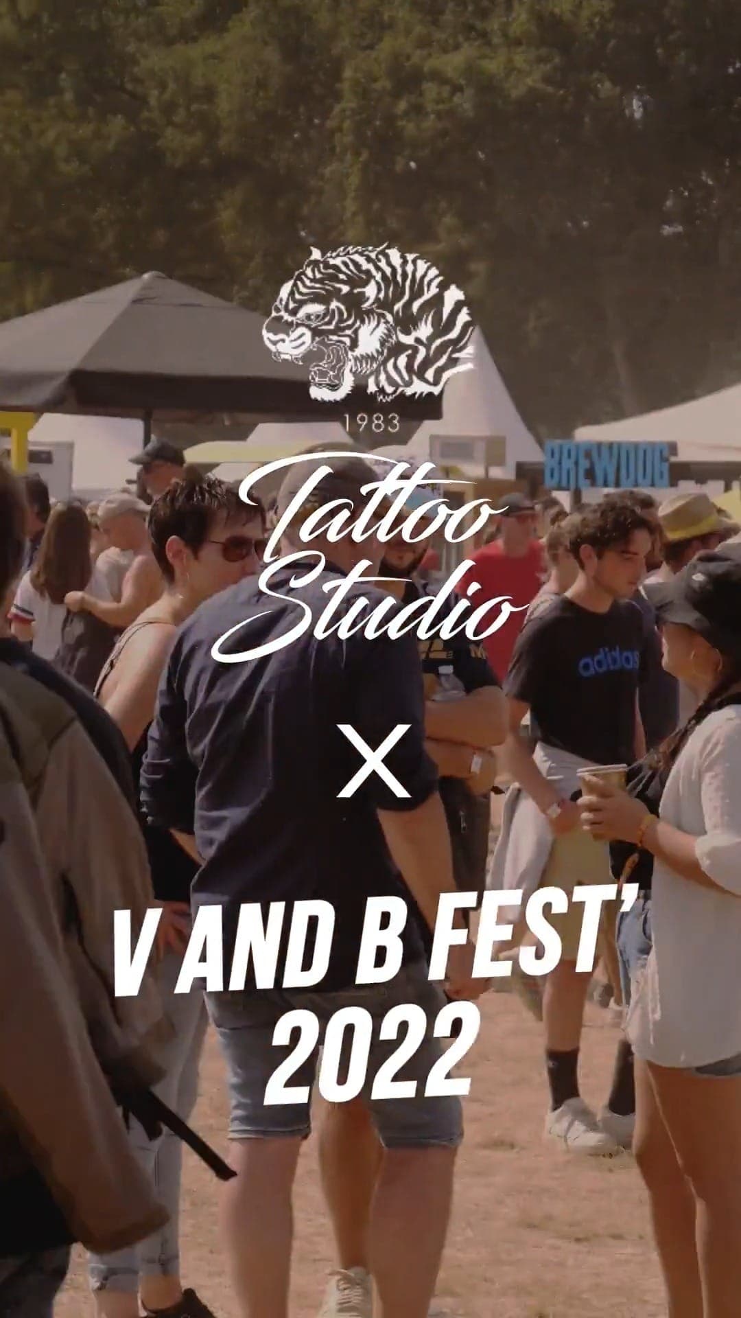 V and B Fest